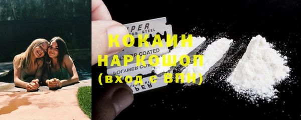 индика Алексеевка
