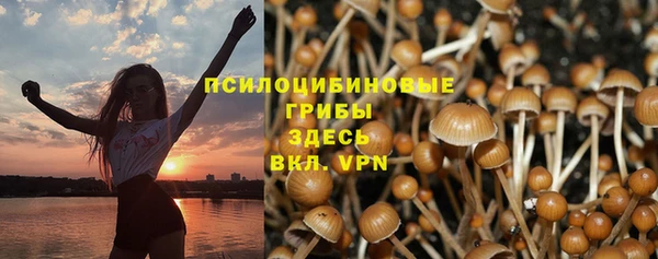 спайс Алзамай